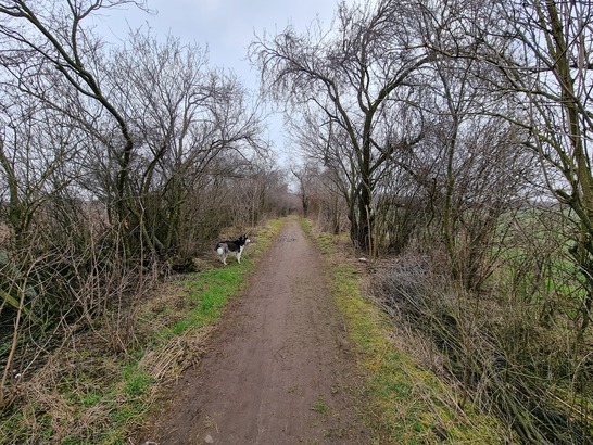 Samsung Galaxy S21 Ultra