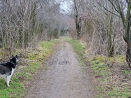 Samsung Galaxy S21 Ultra