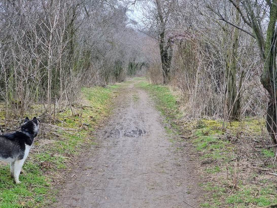 Samsung Galaxy S21 Ultra