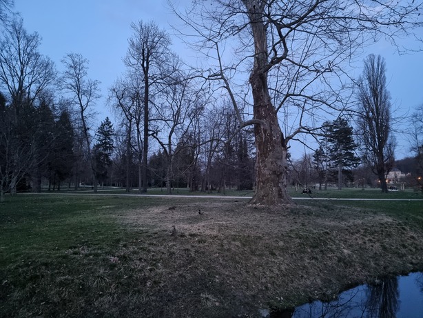 Samsung Galaxy S21 Ultra