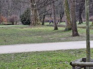 Samsung Galaxy S21 Ultra