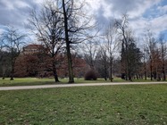 Samsung Galaxy S21 Ultra