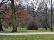 Samsung Galaxy S21 Ultra