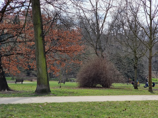 Samsung Galaxy S21 Ultra