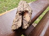 Samsung Galaxy S21 Ultra