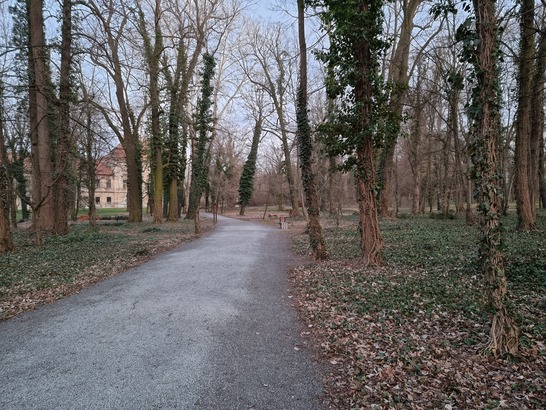 Samsung Galaxy S21 Ultra