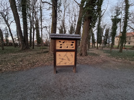 Samsung Galaxy S21 Ultra