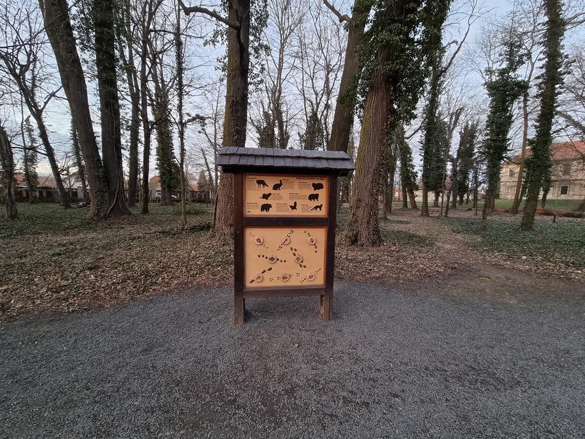 Samsung Galaxy S21 Ultra