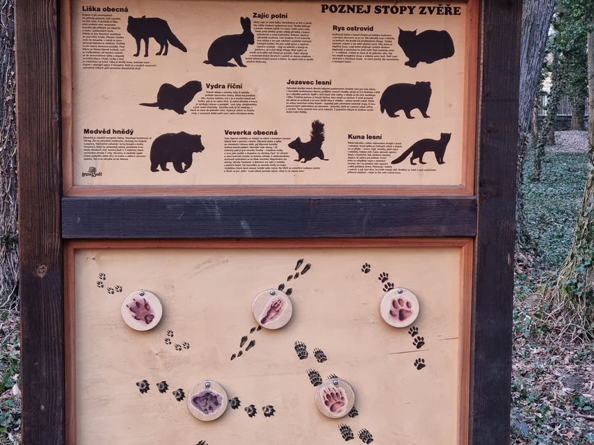 Samsung Galaxy S21 Ultra