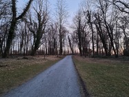 Samsung Galaxy S21 Ultra