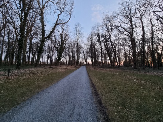 Samsung Galaxy S21 Ultra