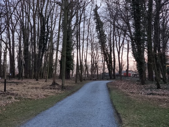 Samsung Galaxy S21 Ultra