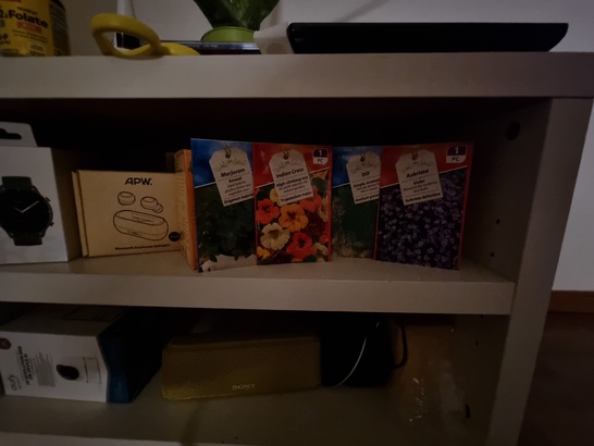 Samsung Galaxy S21 Ultra