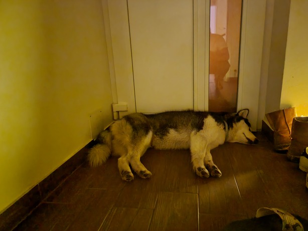 Samsung Galaxy S21 Ultra