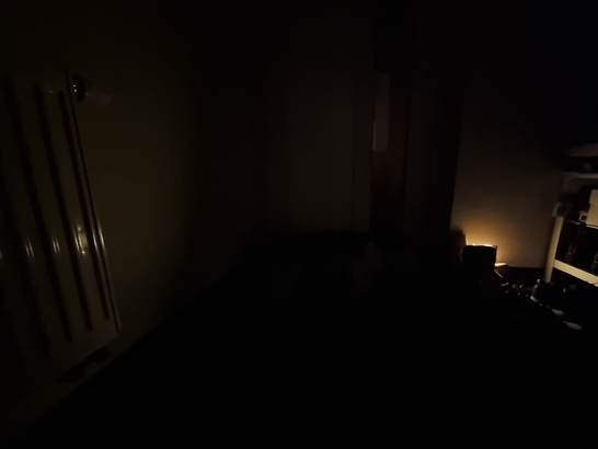 Samsung Galaxy S21 Ultra