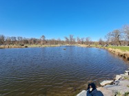 Samsung Galaxy S21 Ultra