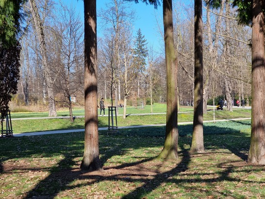 Samsung Galaxy S21 Ultra