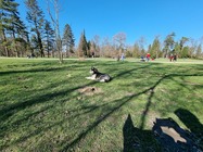 Samsung Galaxy S21 Ultra