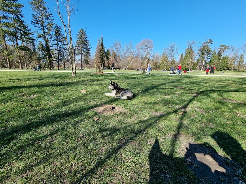 Samsung Galaxy S21 Ultra