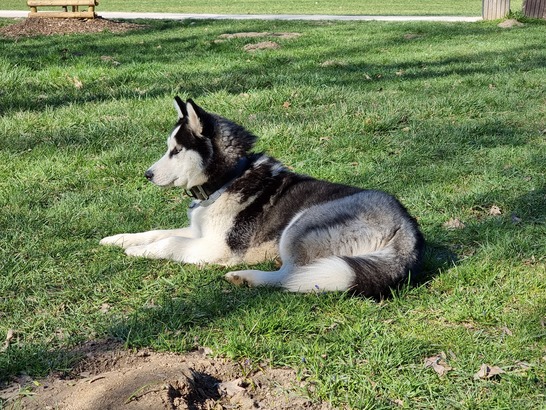 Samsung Galaxy S21 Ultra