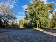 Samsung Galaxy S21 Ultra