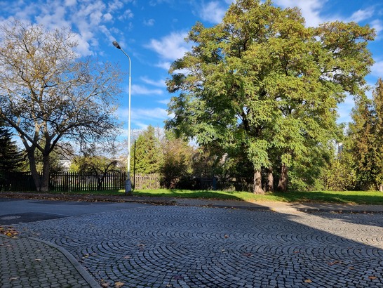 Samsung Galaxy S21 Ultra