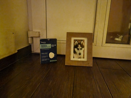 Samsung Galaxy S21 Ultra