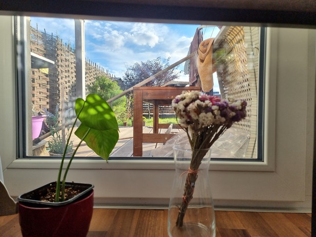 Samsung Galaxy S21 Ultra