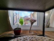 Samsung Galaxy S21 Ultra