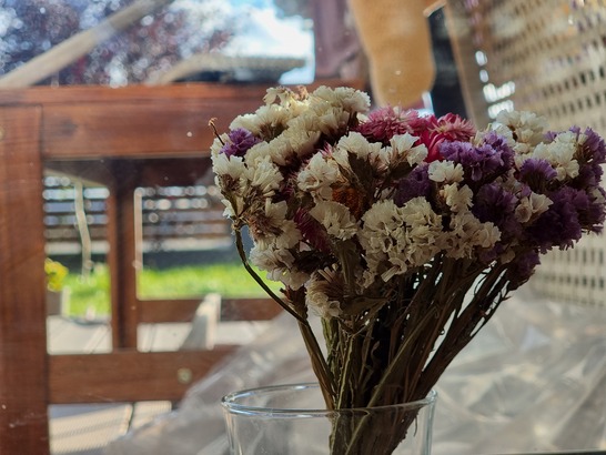 Samsung Galaxy S21 Ultra