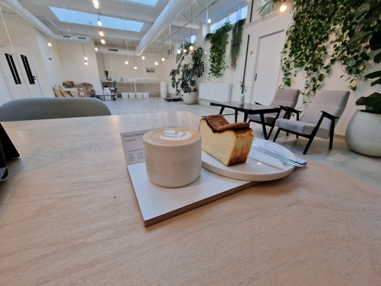 Samsung Galaxy S22 Ultra