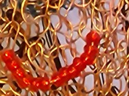 Samsung Galaxy S22 Ultra