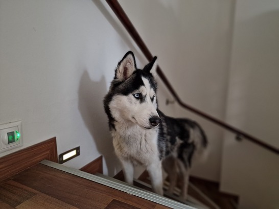 Samsung Galaxy S22 Ultra