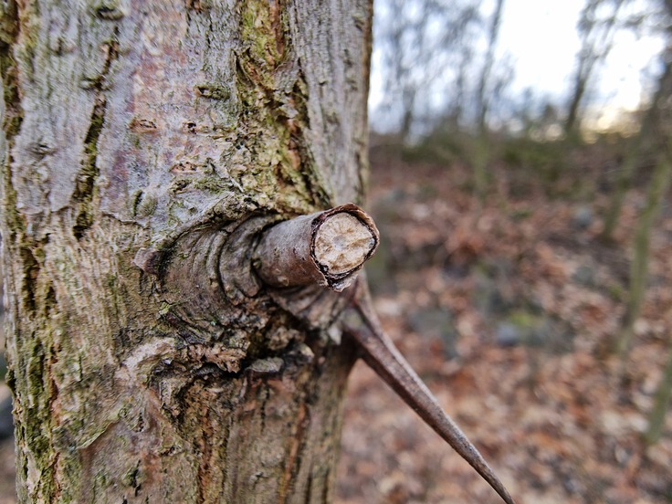 Samsung Galaxy S22 Ultra