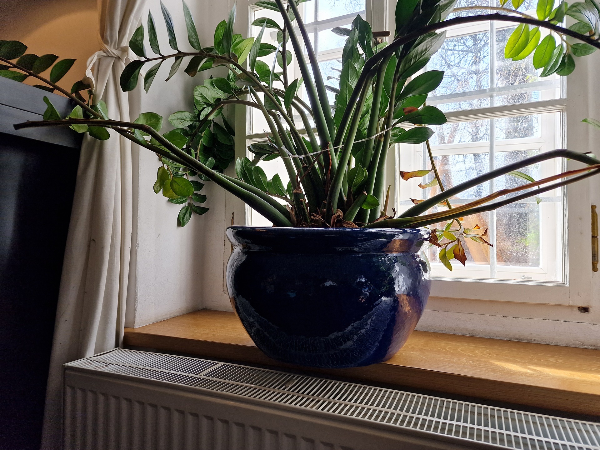 Samsung Galaxy S22 Ultra