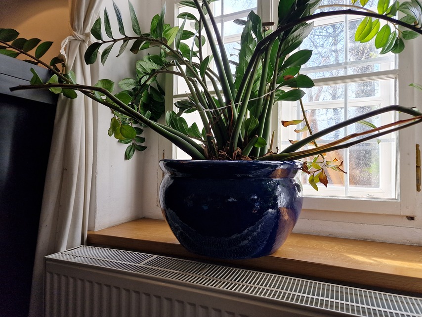 Samsung Galaxy S22 Ultra