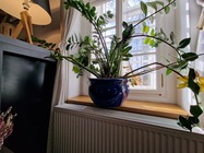 Samsung Galaxy S22 Ultra