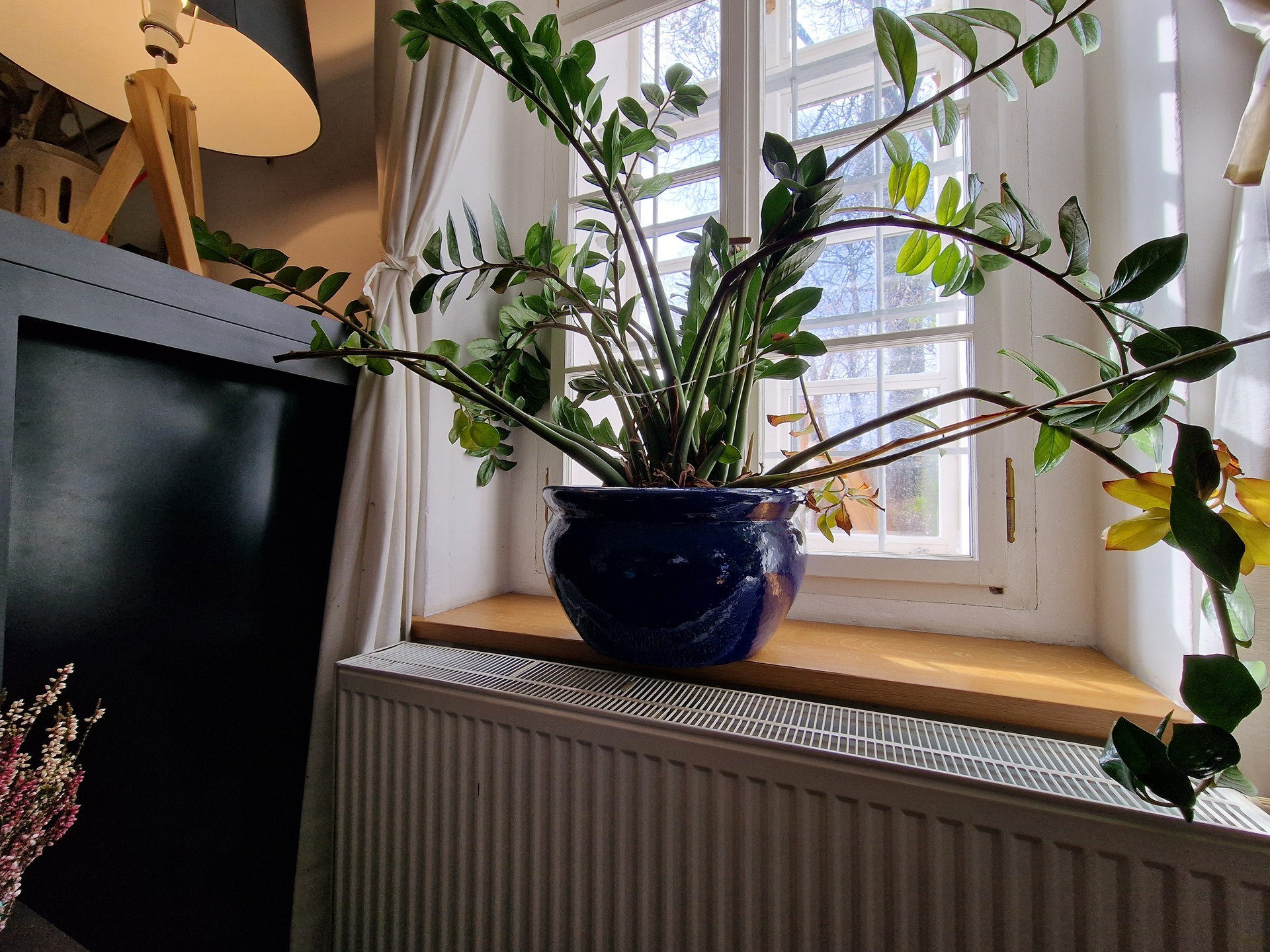 Samsung Galaxy S22 Ultra