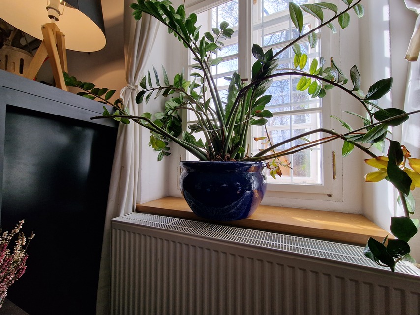 Samsung Galaxy S22 Ultra