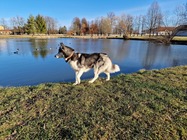 Samsung Galaxy S22 Ultra