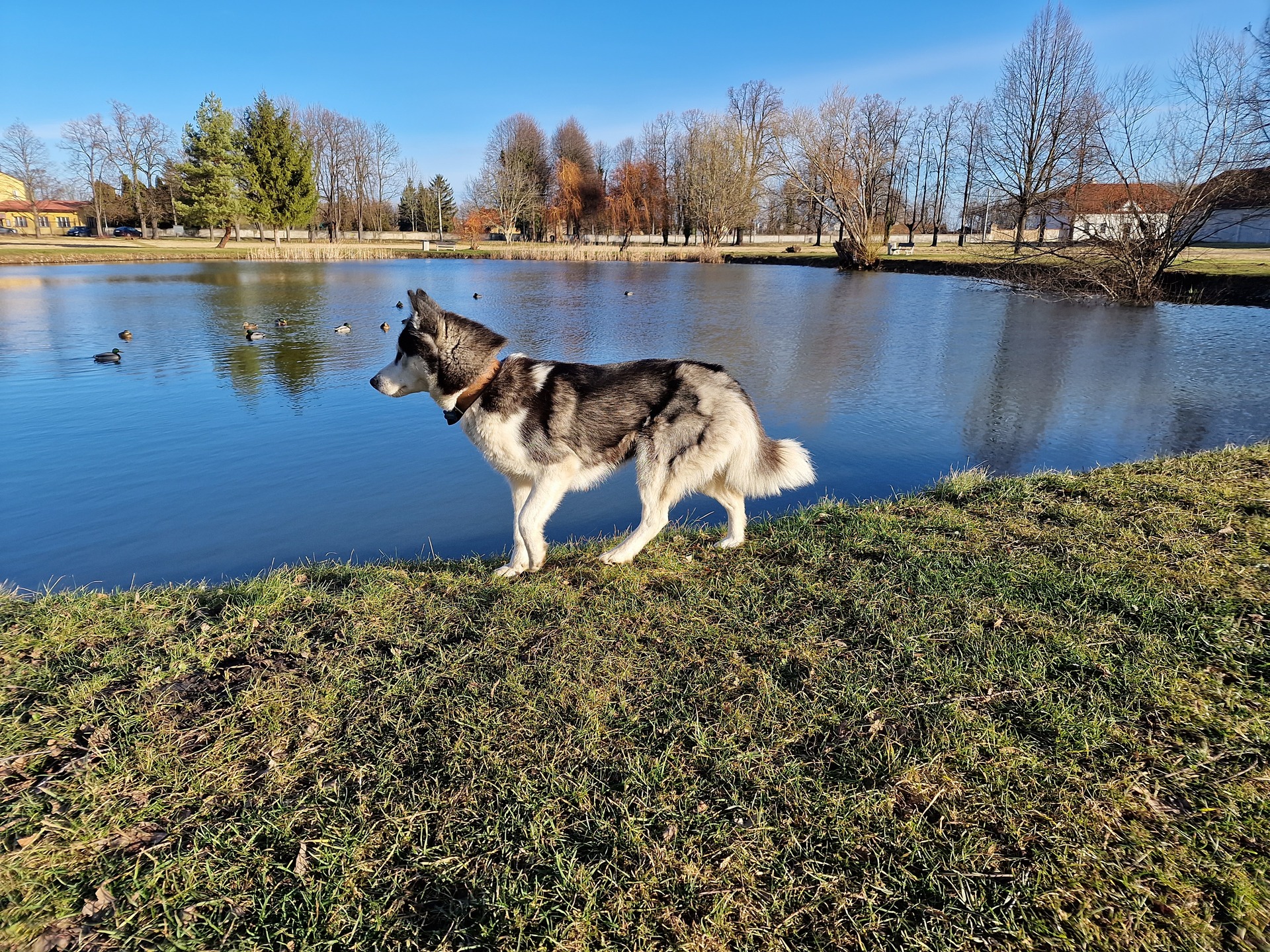 Samsung Galaxy S22 Ultra