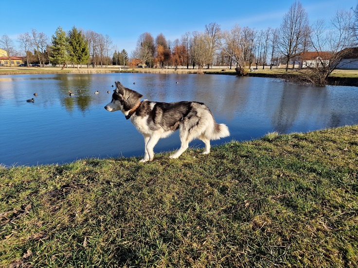 Samsung Galaxy S22 Ultra