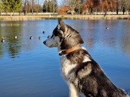 Samsung Galaxy S22 Ultra