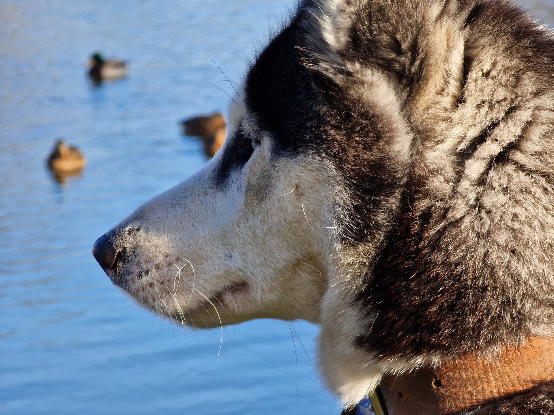 Samsung Galaxy S22 Ultra