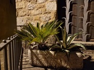 Samsung Galaxy S22 Ultra