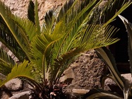 Samsung Galaxy S22 Ultra