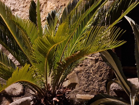 Samsung Galaxy S22 Ultra