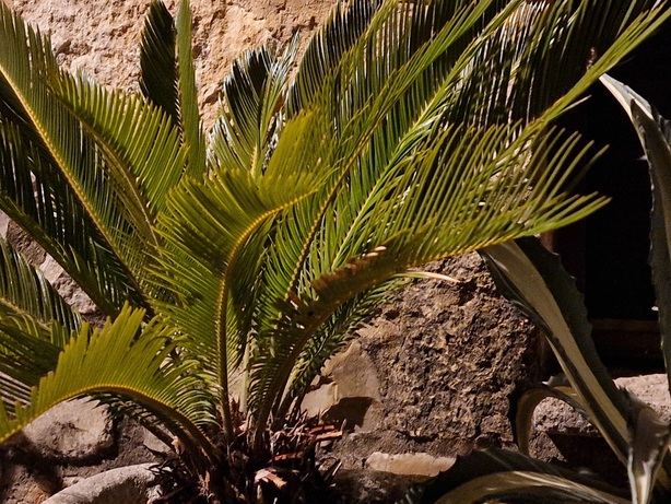 Samsung Galaxy S22 Ultra