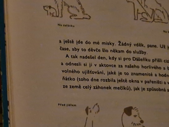 Samsung Galaxy S22 Ultra