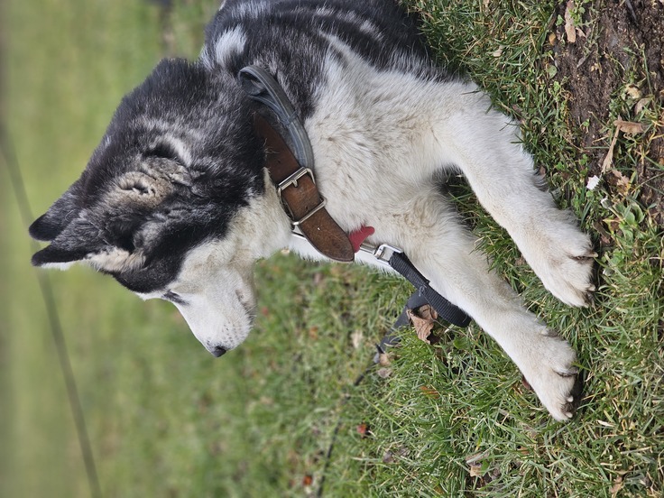 Samsung Galaxy S23 Ultra